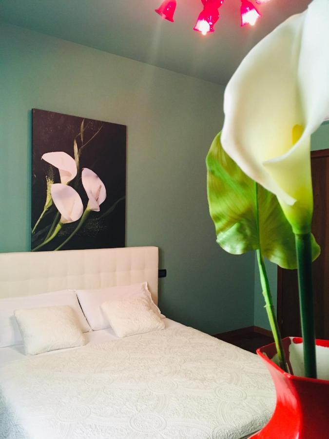 Casa Elisabetta Apartment Peschiera del Garda Luaran gambar